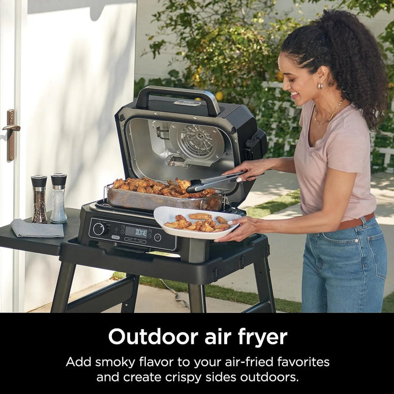 7-in-1 Grill and Smoker with Thermometer, Air Fryer, BBQ, Bake, Roast, Broil, Portable Electric Outdoor Grill, Grey