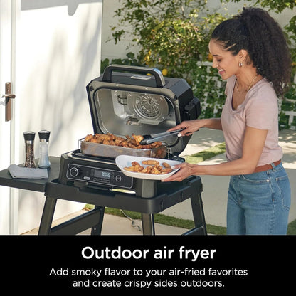 7-in-1 Grill and Smoker with Thermometer, Air Fryer, BBQ, Bake, Roast, Broil, Portable Electric Outdoor Grill, Grey