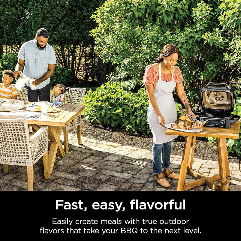 7-in-1 Grill and Smoker with Thermometer, Air Fryer, BBQ, Bake, Roast, Broil, Portable Electric Outdoor Grill, Grey