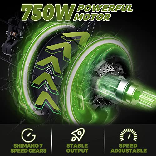 750W Electric Bike 26 Fat Tire Adult Electric Bicycles 48V 13Ah Removable Lithium Battery E-Bike with Suspension Fork Aluminium Frame Beach Snow