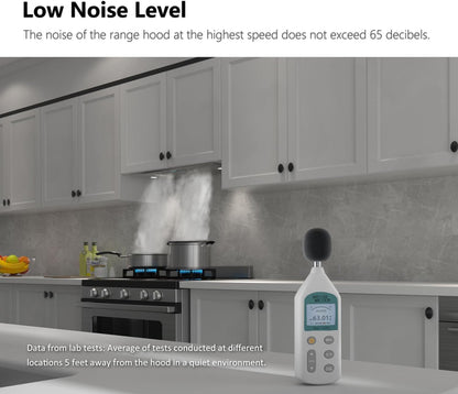 30 Inch Built-in/Insert Range Hood 900 CFM, Ducted/Ductless Convertible Duct