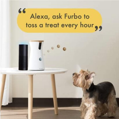 360 Degree Cat Camera, See Your Cat from Anywhere, Rotating 360 Degree Cat Tracking, Treat Toss, Color HD Night Vision, 2-Way Audio