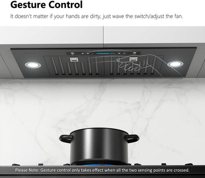 30 Inch Built-in/Insert Range Hood 900 CFM, Ducted/Ductless Convertible Duct