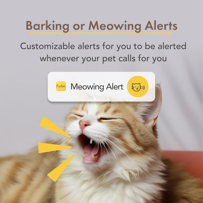 360 Degree Cat Camera, See Your Cat from Anywhere, Rotating 360 Degree Cat Tracking, Treat Toss, Color HD Night Vision, 2-Way Audio