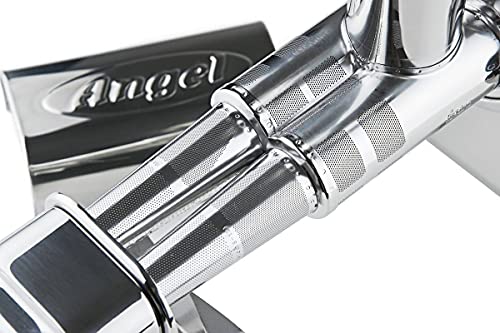 Angel Juicer Ag 5500SFH Stainless Steel Electric Juice Extractor, Sus 304 Food Grade, 3HP Grinding Force, Dual Gear Technology, 10 Year Warranty