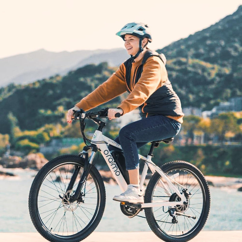 Adult Electric Bike, 350W BAFANG Motor 500W Peak, 4A 3H Fast Charging, 468Wh Li-Ion Battery, 21 Speed Gears, Air Saddle