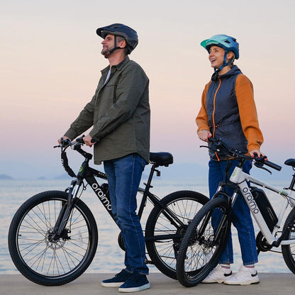 Adult Electric Bike, 350W BAFANG Motor 500W Peak, 4A 3H Fast Charging, 468Wh Li-Ion Battery, 21 Speed Gears, Air Saddle
