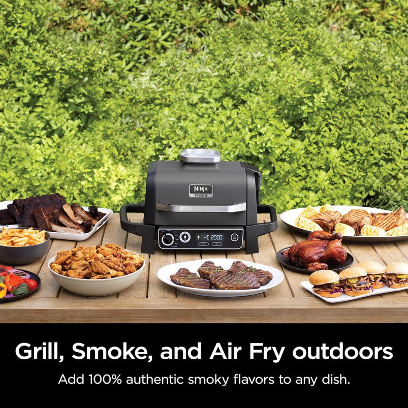 7-in-1 Grill and Smoker with Thermometer, Air Fryer, BBQ, Bake, Roast, Broil, Portable Electric Outdoor Grill, Grey