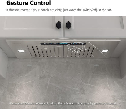 30 Inch Built-in/Insert Range Hood 900 CFM, Ducted/Ductless Convertible Duct