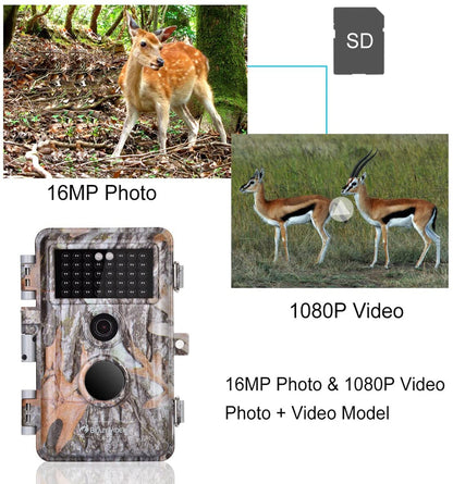 5-Pack Game and Deer Trail Cameras 16MP 1920x1080P Video Hunting Wildlife Cams Time Lapse with Night Vision