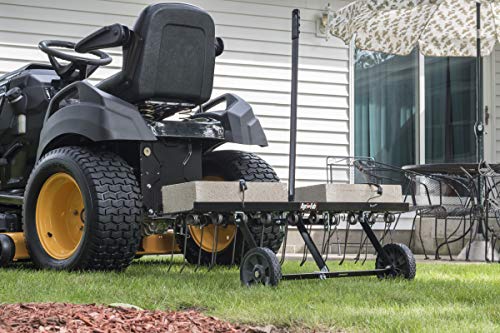 Agri-Fab 45-0295 48-Inch Tine Tow Dethatcher, Black, Medium
