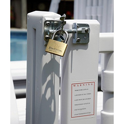 Easy Step Pool Entry System with Gate, 2025