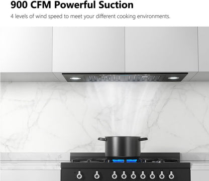 30 Inch Built-in/Insert Range Hood 900 CFM, Ducted/Ductless Convertible Duct