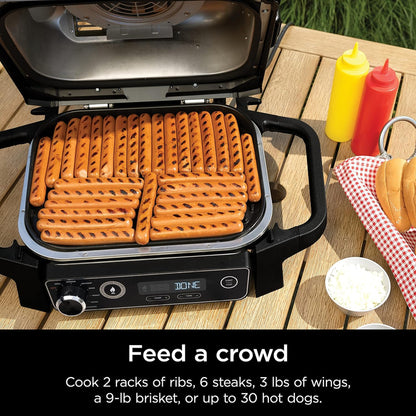 7-in-1 Grill and Smoker with Thermometer, Air Fryer, BBQ, Bake, Roast, Broil, Portable Electric Outdoor Grill, Grey