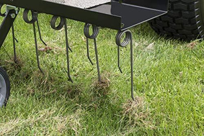 Agri-Fab 45-0295 48-Inch Tine Tow Dethatcher, Black, Medium