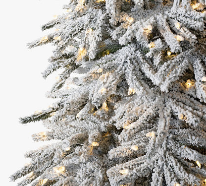 Balsam Hill Tree Classics Flocked Snow Pine Christmas Tree with LED Lights, 6 Ft or 7.5 Ft, Hinged Branches, PVC/Pve