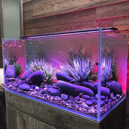 72" Inch Serene Aquarium Visual and Audio Aquatic Experience Kit with LED Aquarium Light, LED Background Light