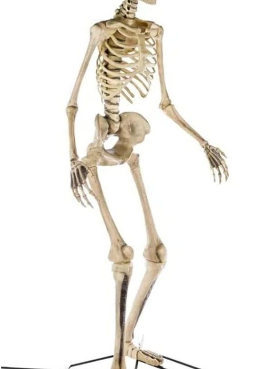 Home Accents 12 Ft. Giant-Sized Skeleton with LifeEyes NO250058, 2025