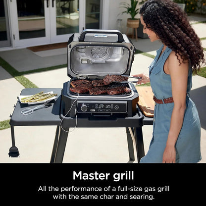 7-in-1 Grill and Smoker with Thermometer, Air Fryer, BBQ, Bake, Roast, Broil, Portable Electric Outdoor Grill, Grey