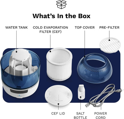 Bedroom Evaporative Humidifier, Humidifier and Air Purifier in One, with Hocl Generator, Mildew Remover, Pet Smoking Odor Eliminator, 538 Square Feet