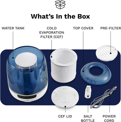 Bedroom Evaporative Humidifier, Humidifier and Air Purifier in One, with Hocl Generator, Mildew Remover, Pet Smoking Odor Eliminator, 538 Square Feet